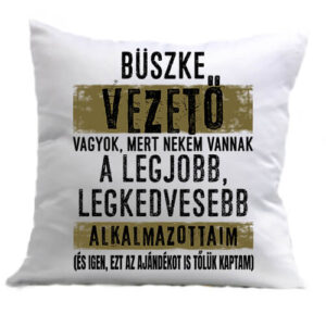 Büszke vezető – Párna